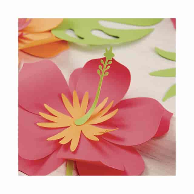 WAU91074 Product Image 4