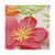 WAU91074 Image Thumbnail 3