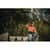 EGO22618 Image Thumbnail 2