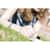 ZEB46720 Image Thumbnail 4