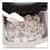 AVAIM1213SIS Image Thumbnail 3