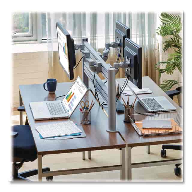 TRPDMSWSLATTAA Product Image 7