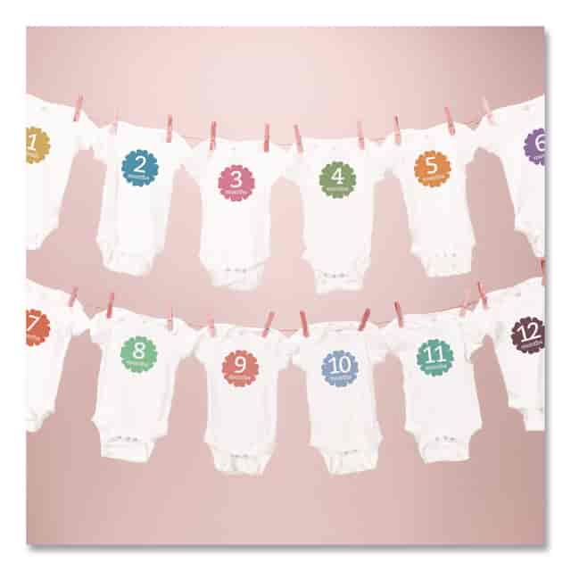 AVE3271 Product Image 5