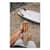CCR070847024026 Image Thumbnail 3