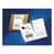 AVE8127 Image Thumbnail 4