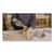 FSGGFSCLRR09 Image Thumbnail 1