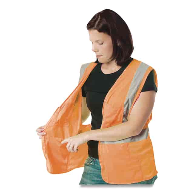 PID302MVGORL Product Image 4