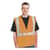PID3020702ZORL Image Thumbnail 3