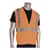 PID3020702ZORL Image Thumbnail 4