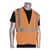 PID3020702ZORXL Image Thumbnail 4