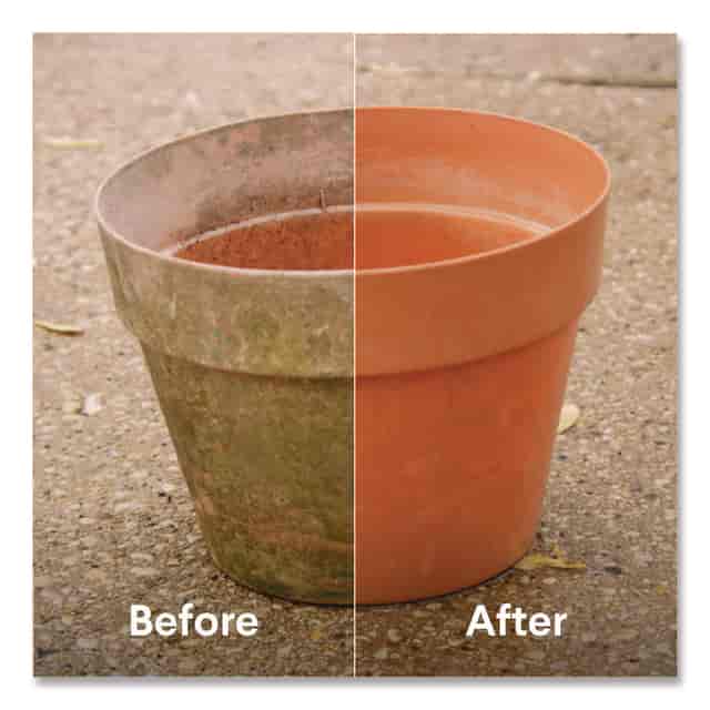 CLO32438 Product Image 4