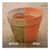 CLO32438 Image Thumbnail 3