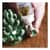 GOR4572502 Image Thumbnail 5
