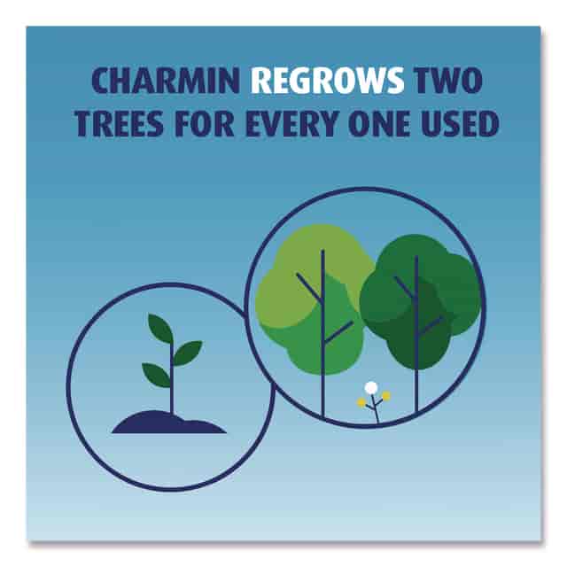 PGC04536 Product Image 6