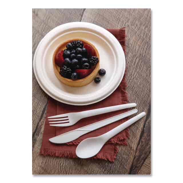 ECOEPS011 Product Image 5