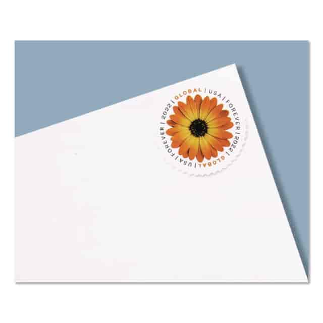 WLBUSPS4EVGLOB Product Image 3