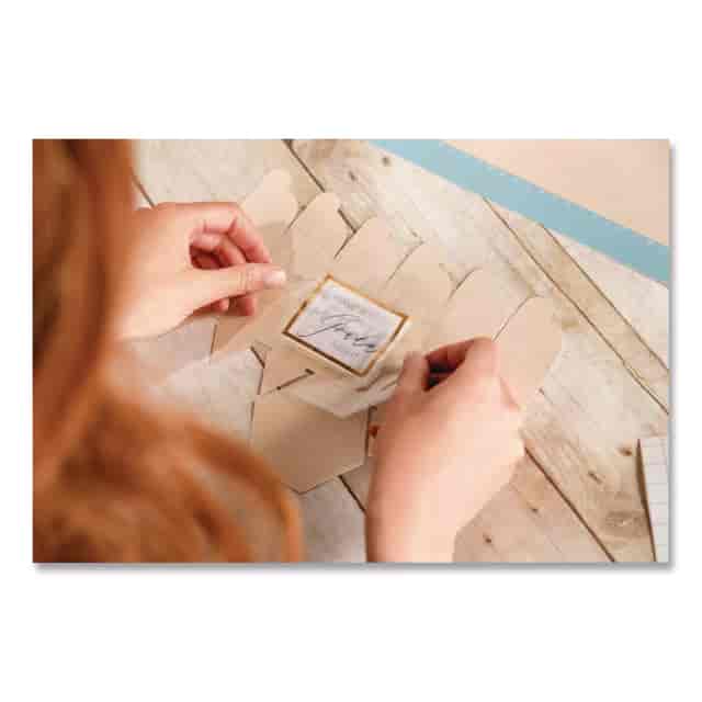 CCU2003574 Product Image 4