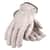 PID70361L Image Thumbnail 1