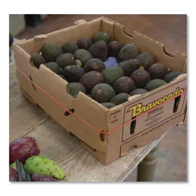 ALL96225 Product Image 4