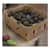 ALL96225 Image Thumbnail 3