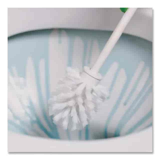 BET0751200 Product Image 4