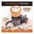 CH7TT05734 Image Thumbnail 4