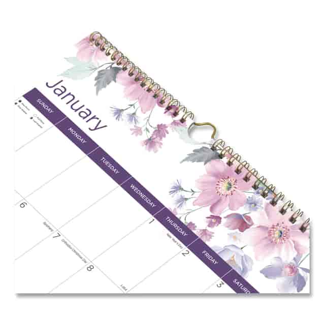REDC173126 Product Image 2
