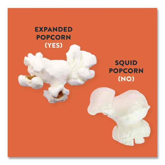 LSULSN00862 Product Image 6