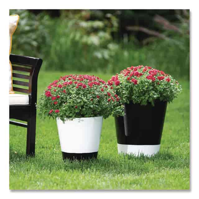 RST245196 Product Image 4