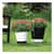 RST245196 Image Thumbnail 3