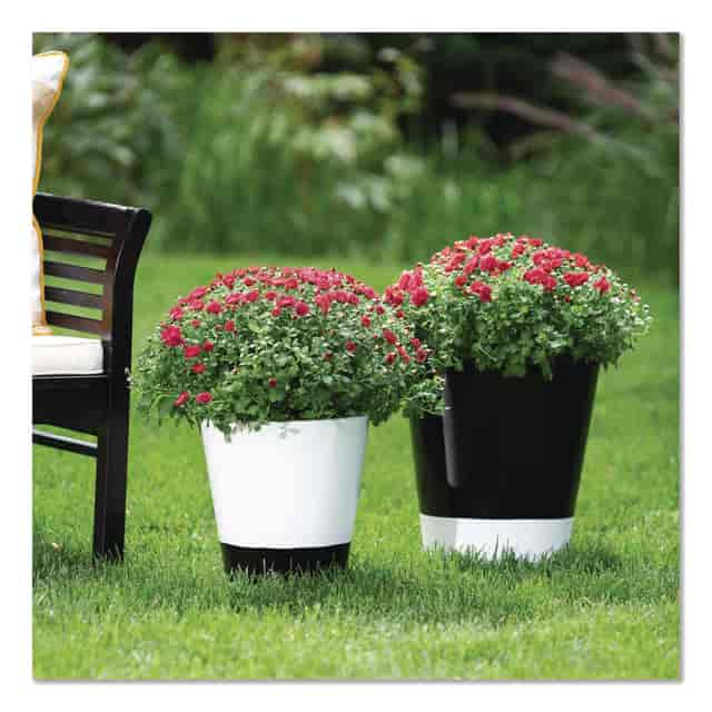RST245196EA Product Image 4