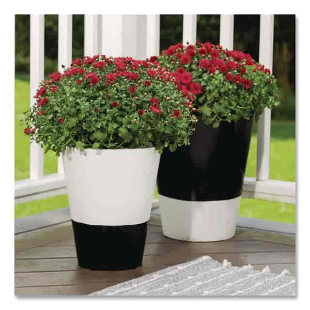 RST245199 Product Image 5