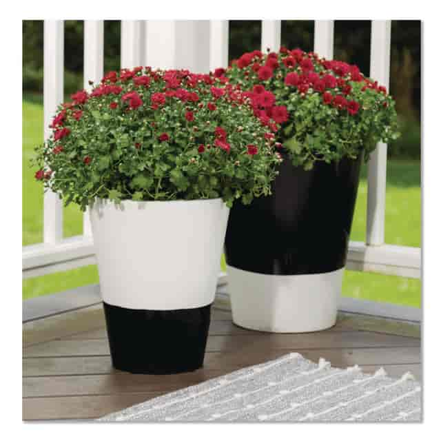 RST245199EA Product Image 4