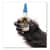 GOR7400202 Image Thumbnail 9