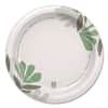 DXEUX9WSPK - Pathways Soak-Proof Shield Mediumweight Paper Plates, WiseSize, 8.5" dia, Green/Burgundy, 125/Pack