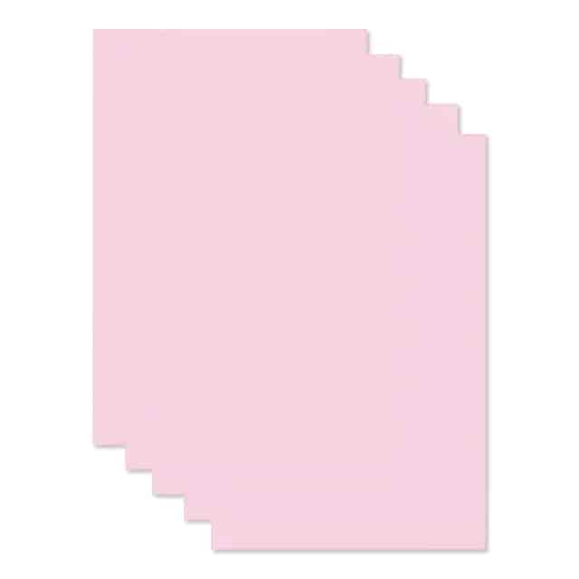 PACP0059042 Product Image 3