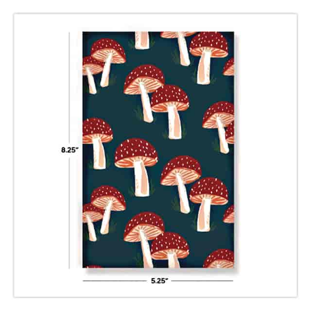 DNKLFC1138L Product Image 5