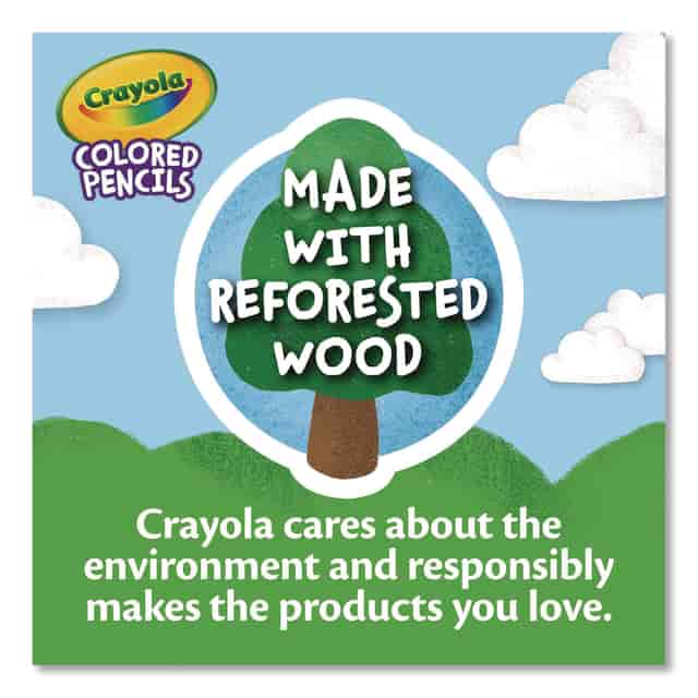 CYO687505 Product Image 3