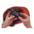 EGO12447 Image Thumbnail 3
