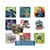 SKR2618382 Image Thumbnail 3