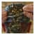 EGO12478 Image Thumbnail 2