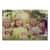 KOD41180 Image Thumbnail 1
