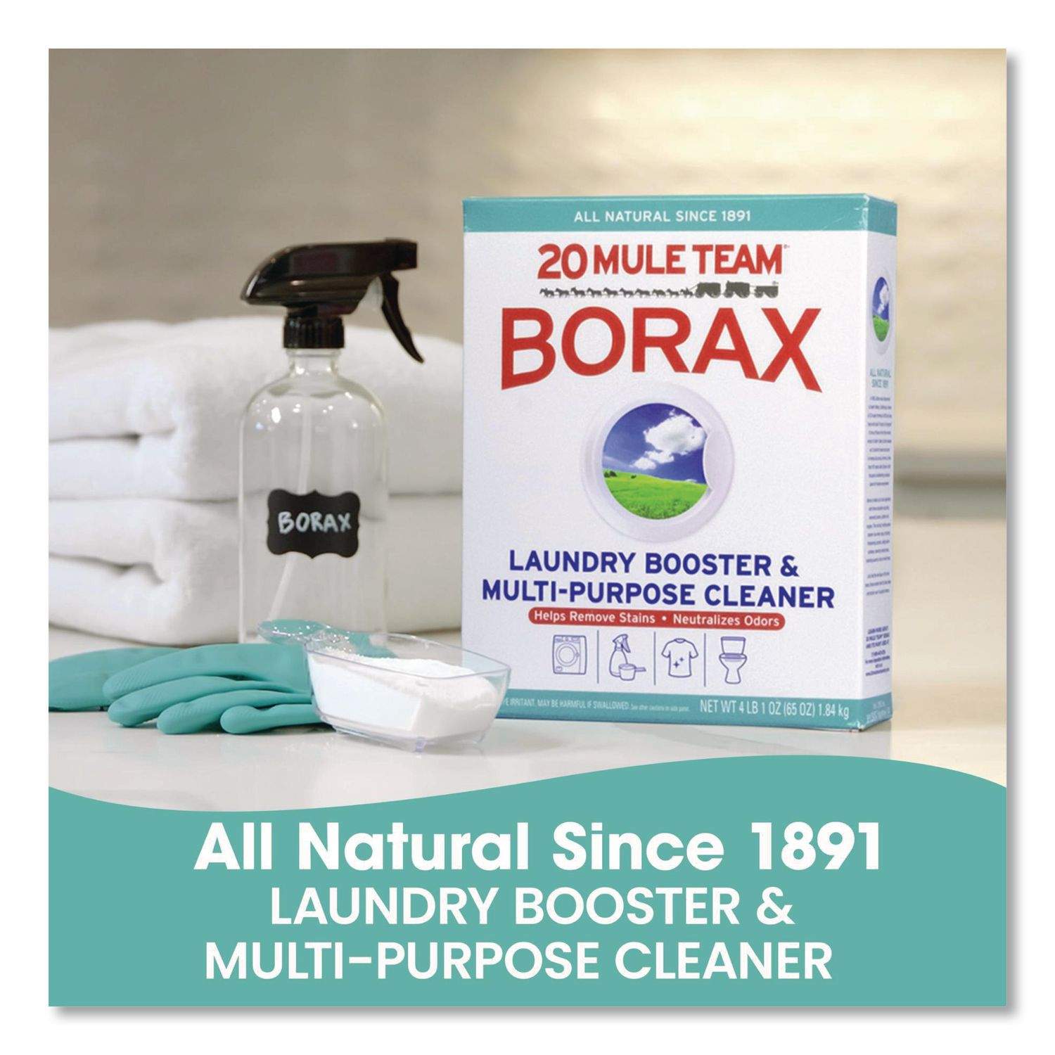 Dial 20 Mule Team Borax Powdered Laundry Booster - Thumbnail 3
