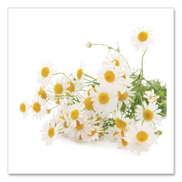 BTC00401 Product Image 6