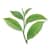 BTC007906 Image Thumbnail 4