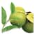 BTC10348 Image Thumbnail 5