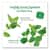 BTC10393 Image Thumbnail 2