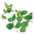 BTC10393 Image Thumbnail 5