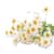 BTC10906 Image Thumbnail 2