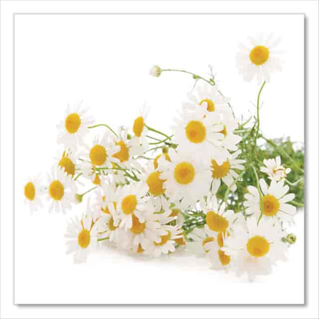 BTC17707 Product Image 7